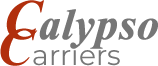footer-logo